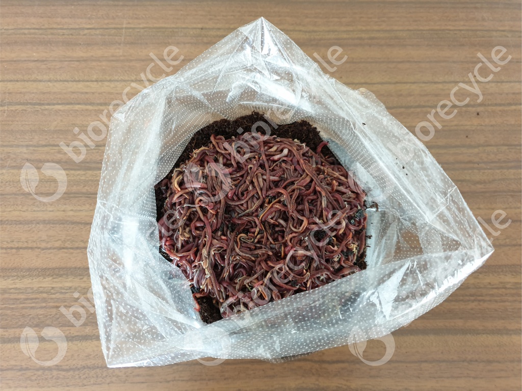 Lombricomposteur wormbag + 1kg de vers